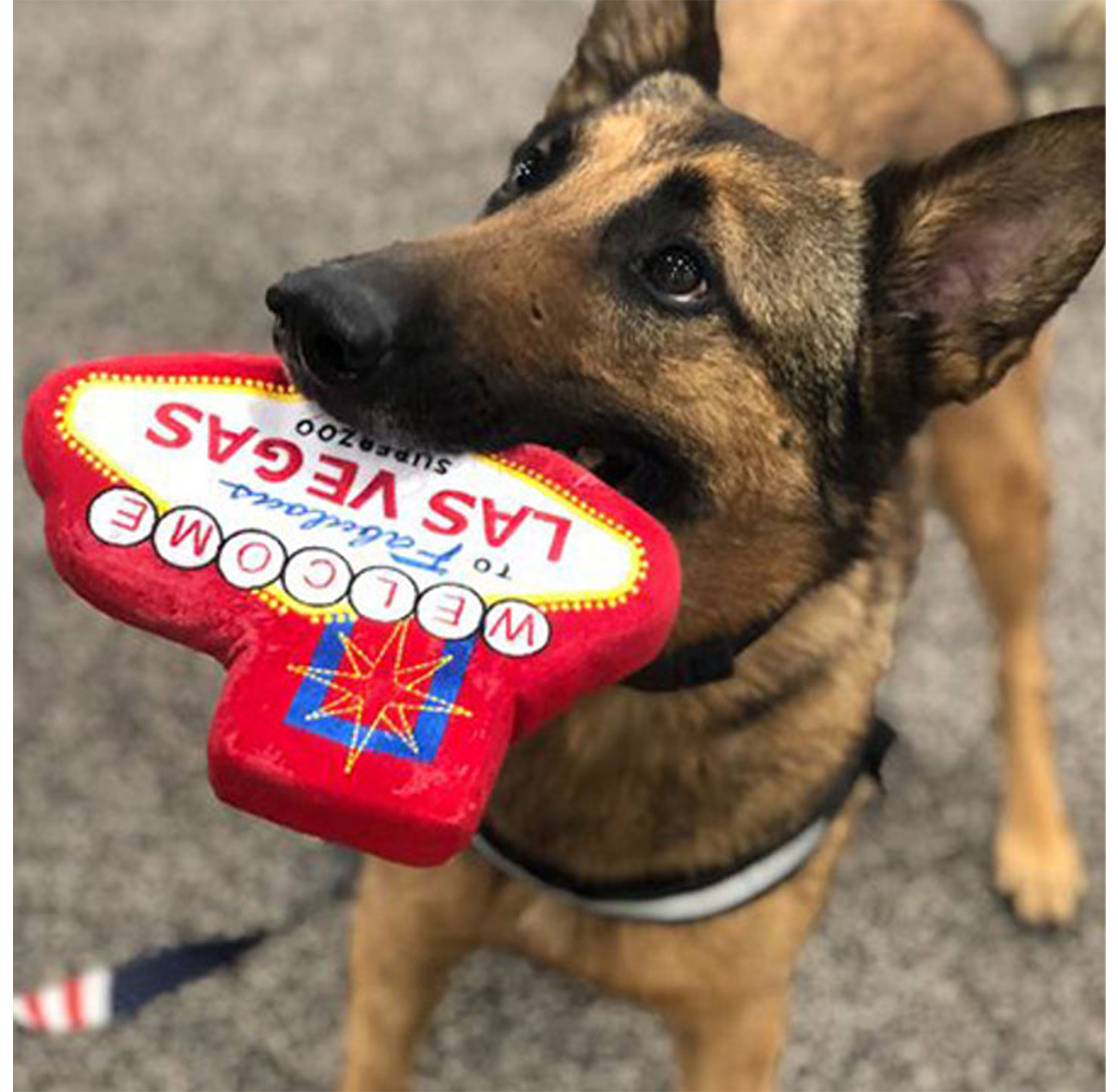 Custom Dog Toy Custom Branded Promotional Pet Toys